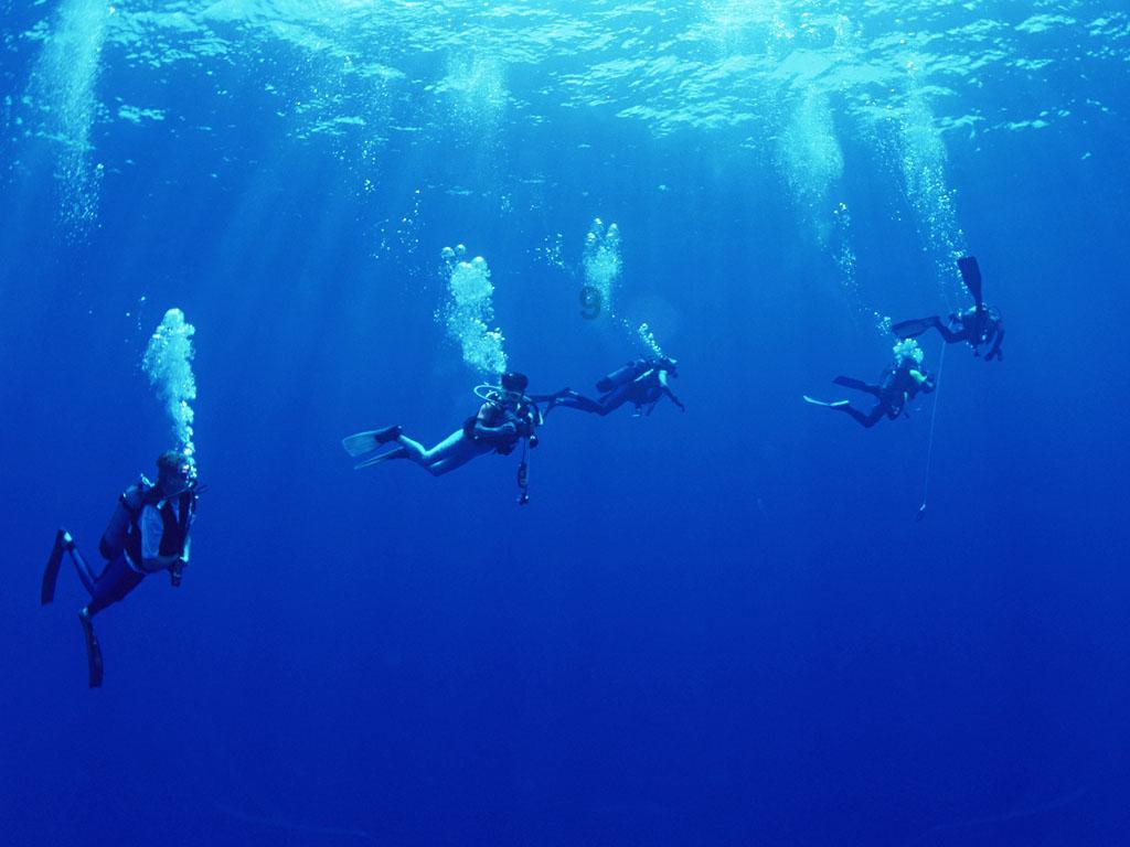 救援海盗章鱼